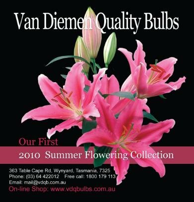Summer Catalogue Cover